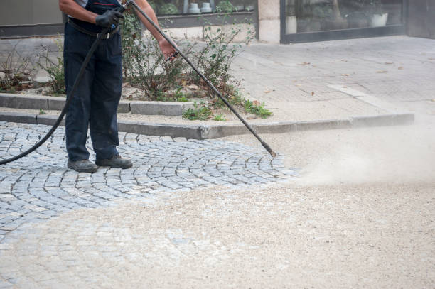 Animal Enclosure Cleaning in Lake Fenton, MI